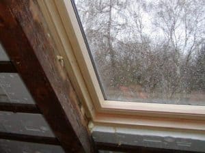 Berlin Potsdam Brandenburg, Schimmel an Dachflächenfenster Gutachter Beratung beim Haus kaufen Berlin Potsdam Baumangel Dachfenster verschimmelt, Ursache keine Dämmung seitlich verbaut