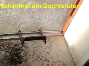 Beratung beim Hauskauf Schimmel-Dachfenster-Schimmelpilz-Fensterahmen