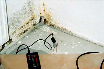 Schwachpunkt: Schimmel Ecke unten, über der Kellerdecke, Schimmel in Wandecke unten: "<yoastmark