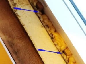 Schimmel an Dachflächenfenster, Baumangel-Baumängel, Dachfenster Tauwasser Schimmel mangelhafte Dämmung