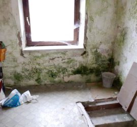 Freiburg undichter Keller nasse Wände sanieren Kosten Kaufberatung Haus,Stuttgart, Nürnberg,Haus Kaufen ohne Makler Regenburg &  München, günstigen Häuser ohne Provision, Kostensicherheit