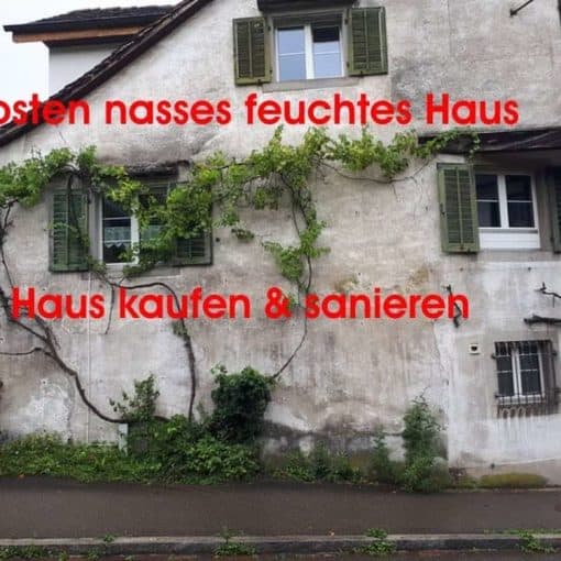 Freiburg, Sulzburg,Bad Krozingen, Breisach am Rhein, Breisgau,Kaiserstuhl, Schwarzwald, Stuttgart, Villingen Schwenningen, Feldberg, Emmendingen, Lahr, Karlsruhe, Pforzheim, Baden-Baden, Mannheim, Heidelberg, Heilbronn Kosten nasses feuchtes Haus kaufen & sanieren