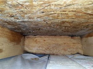 Baumangel Dachbalken verschimmelte & Dachdämmung feucht führt zu Bauschaden