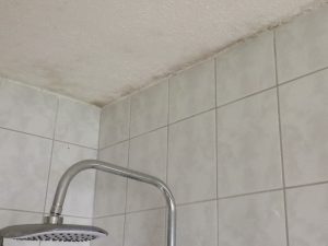 Schimmelgutachter Schimmel über der Dusche