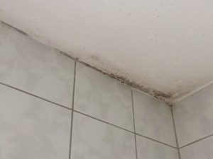 Schimmel im Bad Badezimmer Ecke oben unter dem Flachdach