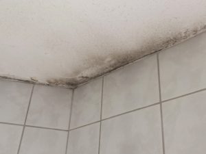 Schimmel im Badezimmer Wandecke oben