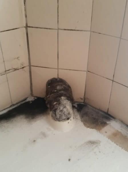 Schimmel an der Ecke unten Schimmelgutachten liefern wir in Sulzburg, Freiburg, Bad Krozingen, Baden-Baden, Breisach am Rhein, Breisgau, Emmendingen, Feldberg, Heidelberg, Heilbronn, Kaiserstuhl, Karlsruhe, Lahr, Mannheim, Pforzheim, Schwarzwald, Stuttgart, Sulzburg, Villingen Schwenningen Baden-Württemberg.